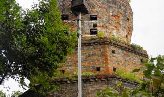 只有峨眉山 只有峨眉山