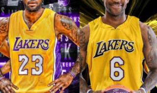 詹姆斯湖人6号球衣图片